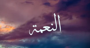 التأمل في النِّعم: كيف نُعيد اكتشاف قيمة الحياة ونعيش بامتنان أعمق؟