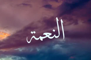 التأمل في النِّعم: كيف نُعيد اكتشاف قيمة الحياة ونعيش بامتنان أعمق؟