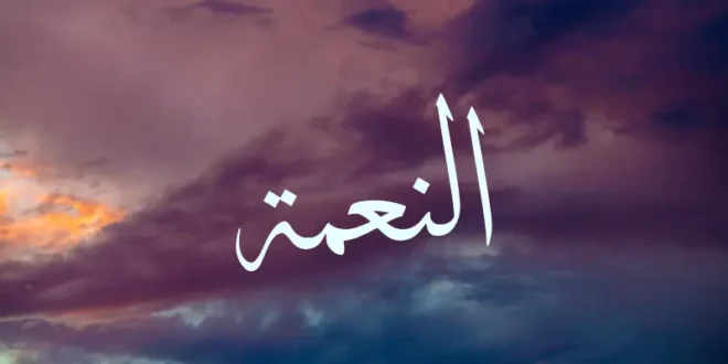 التأمل في النِّعم: كيف نُعيد اكتشاف قيمة الحياة ونعيش بامتنان أعمق؟