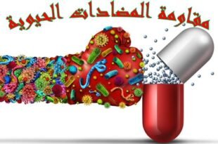 مقاومة المضادات الحيوية: المسؤولية الجماعية في مواجهة الوباء الصامت